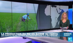 COP27 : la Caravane africaine pour le climat veut faire entendre la voix de la société civile