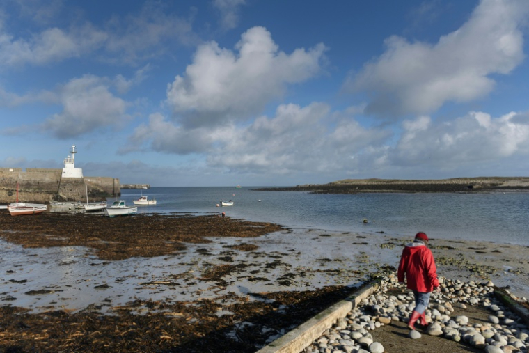 Des bateaux à marée basse dans le port de l'île de Molène, le 3 février 2026 ( AFP / Fred TANNEAU )