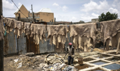 Un tanneur se tient debout dans un bassin alors qu'il traite des peaux brutes à la tannerie traditionnelle Majema, dans le quartier de Kofar Wambai à Kano, le 10 septembre 2025. Kano, centre historique du cuir, approvisionne des géants du luxe tels que Louis Vuitton, Gucci et Ralph Lauren, le Nigeria exportant près de 90 % de ses peaux à l'étranger. Mais comme la finition est effectuée en Europe, le label "Made in Nigeria" disparaît, remplacé par "Made in Italy" ou "Made in Spain". Aujourd'hui, certains créateurs nigérians tentent de redonner ses lettres de noblesse au cuir de leur pays en créant des marques locales. ( AFP / OLYMPIA DE MAISMONT )