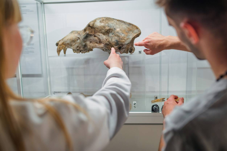 Le pass Culture, un dispositif à améliorer-iStock-24K-Production.jpg