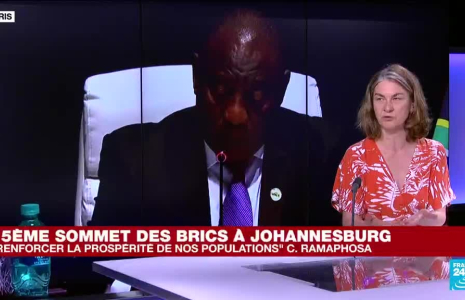 15eme Sommet des BRICS à Johannesburg : "la dédollarisation au cœur des débats"