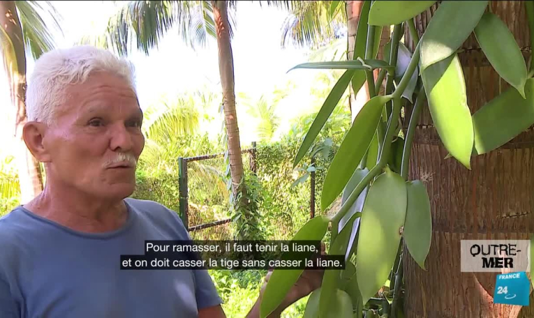 Après le passage de la tempête Philippe, la Guadeloupe sous les eaux