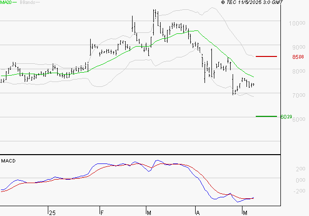 ALTEN : Attendre un test du support