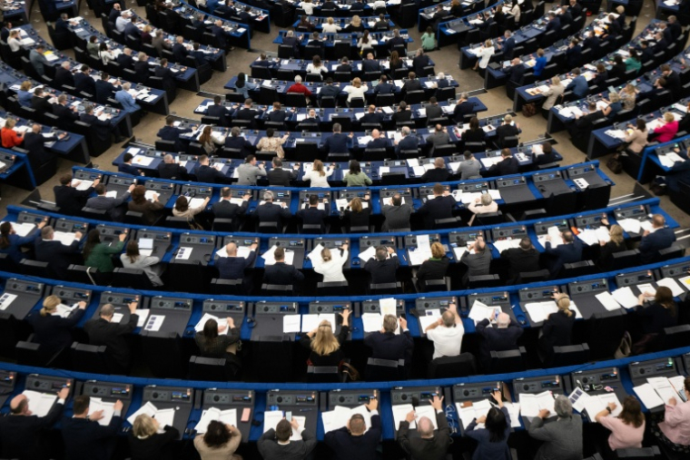 Les eurodéputés votent mercredi le règlement sur les retours des migrants déboutés du droit d'asile, un volet controversé de la politique migratoire européenne ( AFP / SEBASTIEN BOZON )