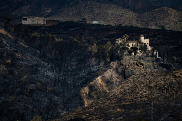 Des maisons au milieu d'un paysage dévasté par l'incendie qui a tué 12 personnes dans le sud de l'Espagne, le 12 juillet 2026 à Bedar, dans la province d'Almeria, en Andalousie  ( AFP / JORGE GUERRERO )