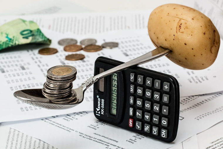 (Crédits photo : Pixabay - Steve Buissinne - Calcul du budget des ménages )