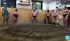 Au Japon, le sumo ukrainien Aonishiki, 21 ans, a conquis les fans