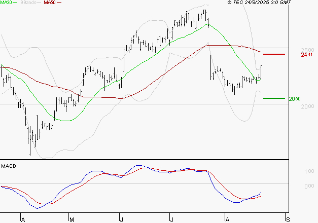 STMICROELECTRONICS : Peu de risque à moyen terme
