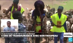 12 candidats face à Paul Biya pour la présidentielle, la candidature de Kamto rejetée