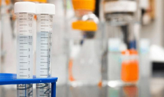 Des résultats positifs pour PXT3003 bouleverseraient la trajectoire boursière de Pharnext. (crédit : Martin Lopez)