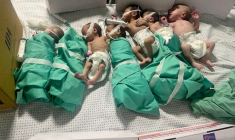 Des nouveau-nés à l'hôpital Al Shifa, dans la ville de Gaza