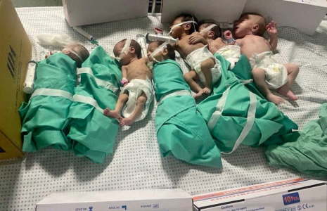 Des nouveau-nés à l'hôpital Al Shifa, dans la ville de Gaza