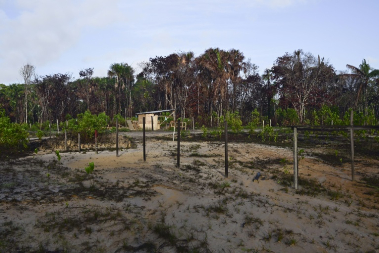 Des terres touchées par des incendies de forêt dans la région amazonienne de l'archipel de Marajo, dans l'Etat du Pará, au Brésil, le 9 décembre 2024 ( AFP / Pablo PORCIUNCULA )
