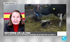 Réforme de la PAC : les agriculteurs sommés de se mettre au vert ?