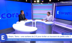 Shein, Temu : une surtaxe de 2€ pour éviter un tsunami de petits colis ?