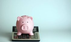 Niches ou dérogations fiscales : quelles différences ? / iStock.com - serdjophoto