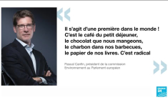 L'UE interdit l'importation de produits issus de la déforestation