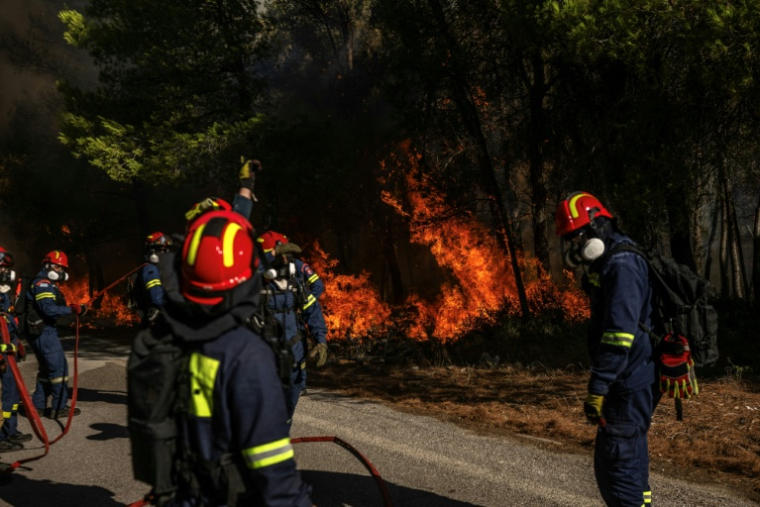 Des pompiers grecs tentent d’éteindre un incendie de forêt dans la région de Porto Germeno, à quelque 70 kilomètres au nord-ouest d’Athènes, dans la région de la Viotia, le 2 août 2026 ( AFP / Angelos TZORTZINIS )