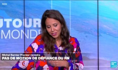 Manifestations à travers la France contre le "coup de force de Macron"