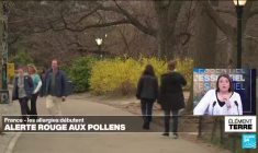 Demain tous allergiques? Alerte rouge au pollens dans le sud de la France