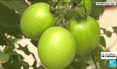 Mali : à Bamako, l'inflation complique la préparation de l'Aïd