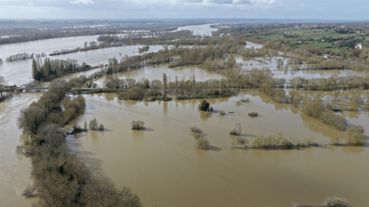 Vue aérienne de champs inondés par la Loire en crue, le 17 février 2026 près de Denée, dans le Maine-et-Loire ( AFP / Damien MEYER )