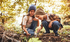 Les écoles en forêt gagnent en popularité en France crédit photo : Shutterstock