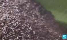 Un engrais à base d'insectes pour verdir l'agriculture