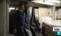 Des cargos à voile pour remplacer les géants des mers à moteur