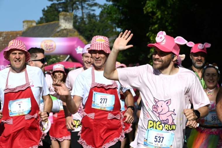 Des participants à la course "Pig and Run" organisée à Merlevenez par la profession porcine, le 18 mai 2025 dans le Morbihan ( AFP / JEAN-FRANCOIS MONIER )