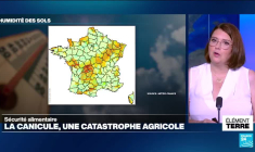 Canicule: une catastrophe agricole
