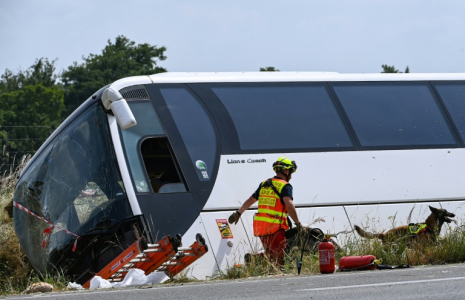 Un maître-chien du SDIS 49 intervient près d'un car qui transportait des adultes et des enfants ukrainiens avant d'avoir un accident faisant plusieurs morts sur l'A81 à Degré, en Sarthe, le 13 juin 2025 ( AFP / JEAN-FRANCOIS MONIER )