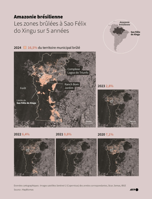 Infographie avec des images satellites Sentinel-2 (Copernicus) montrant les zones brûlées dans la municipalité de Sao Felix do Xingu, en Amazonie brésilienne, de 2020 à 2024 ( AFP / Olivia BUGAULT )