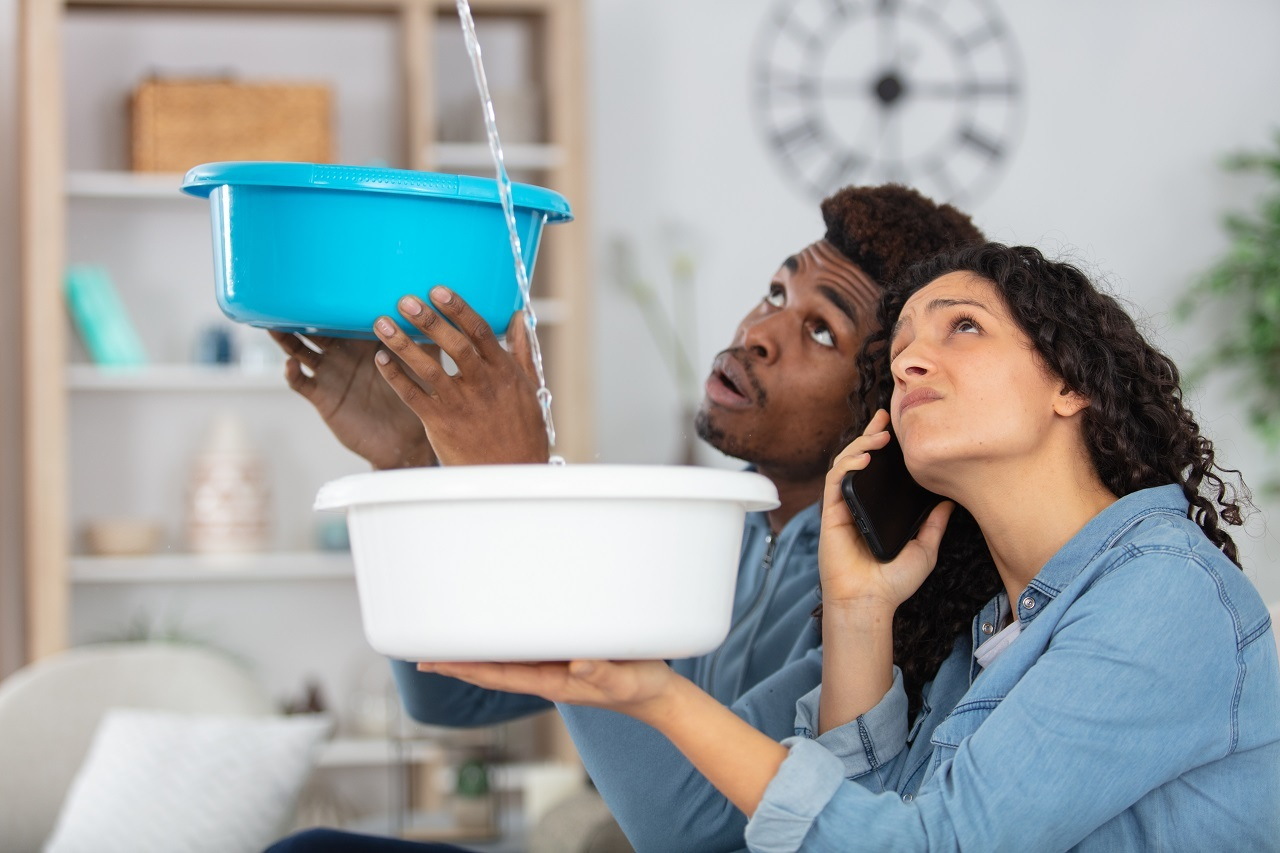 (Couple confronté à une fuite d'eau dans son logement en colocation - Crédits photo : Adobe Stock)