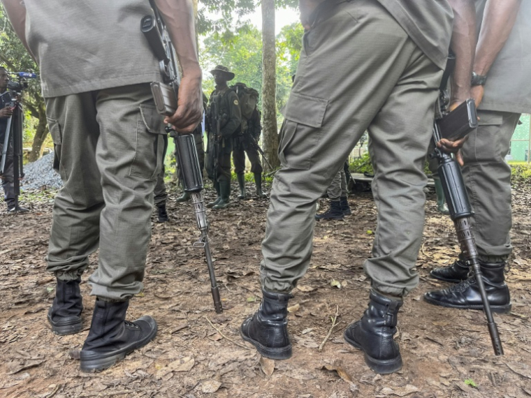 Des rangers de la fondation Africa Nature Investors s'apprêtent à partir en patrouille dans la forêt d'Okomu, dans le sud-ouest du Nigeria, le 11 novembre 2025 ( AFP / Leslie FAUVEL )