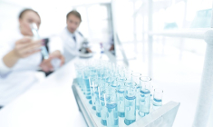 Le traitement de Neovacs, IFNα Kinoïde, est une immunothérapie conçue pour générer chez le patient, suivant un principe vaccinal, des anticorps polyclonaux ciblant l’interféron alpha, responsable de l’inflammation caractéristique du lupus. (crédit : Adobe Stock)