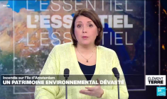 Incendie sur l'île d'Amsterdam: un trésor de biodiversité dévasté