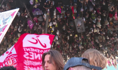 Plus de 10.000 personnes dans la rue en France contre "le permis de tuer"