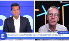 Faux sucre : une thématique d’investissement en Bourse ?