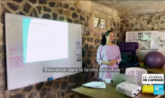 Le macaque de Maurice : une espèce de singe unique très prisé par les laboratoires