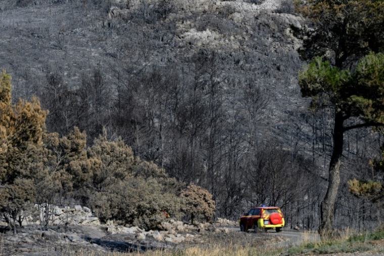 Des pompiers circulent dans une forêt dévastée par les flammes, le 8 août 2025 dans l'Aude ( AFP / Lionel BONAVENTURE )