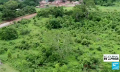 Au Bénin, un ménage sur quatre utilise le bois comme source d’énergie