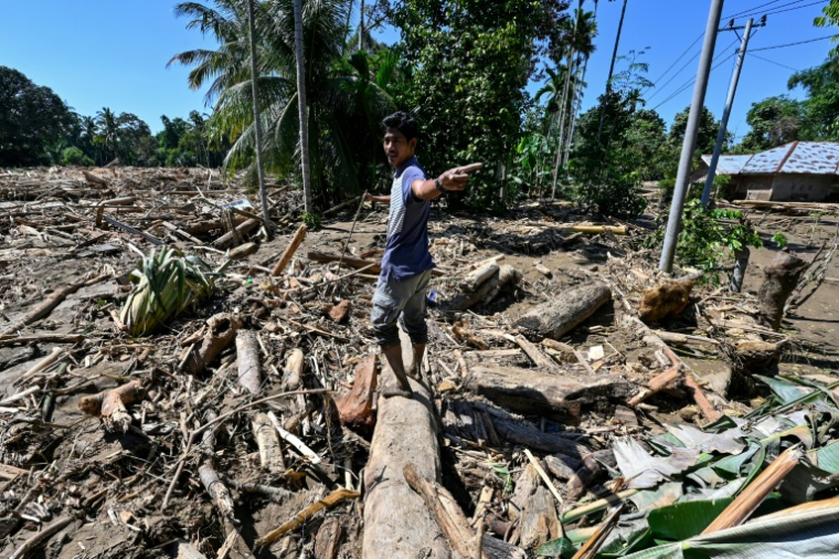 Un homme contemple les dégâts dans une zone dévastée par les inondations à Meureudu, dans la province indonésienne d'Aceh, le 30 novembre 2025 ( AFP / CHAIDEER MAHYUDDIN )