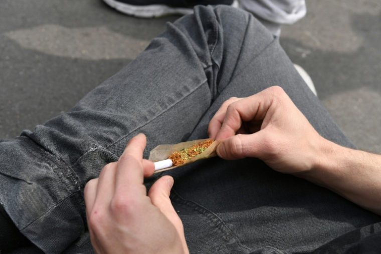 Par rapport à 2015, on trouve cinq fois moins de fumeurs quotidiens et trois fois moins de jeunes ayant expérimenté le cannabis ( AFP / ALAIN JOCARD )