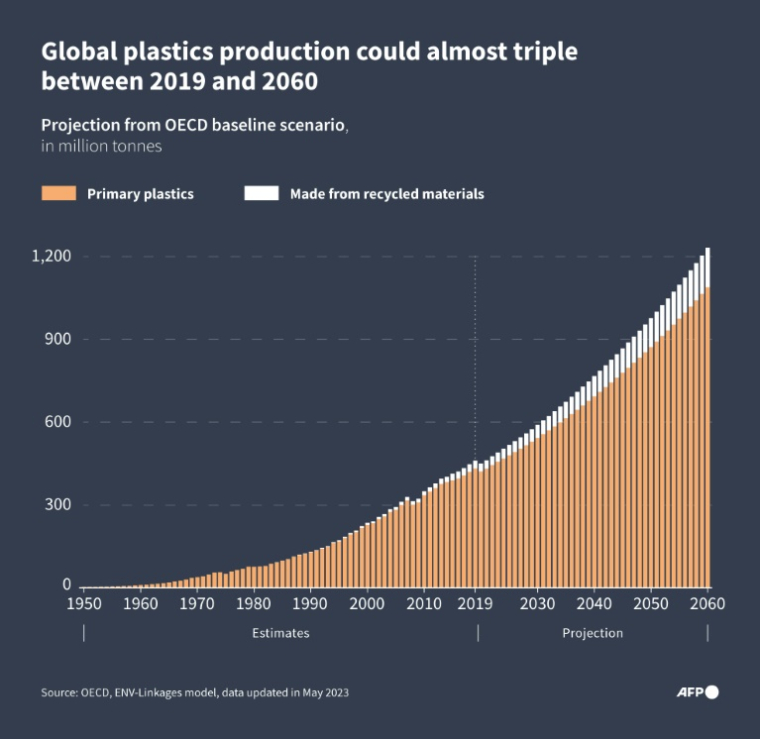 Global plastics production could almost triple between 2019 and 2060 ( AFP / Sylvie HUSSON )