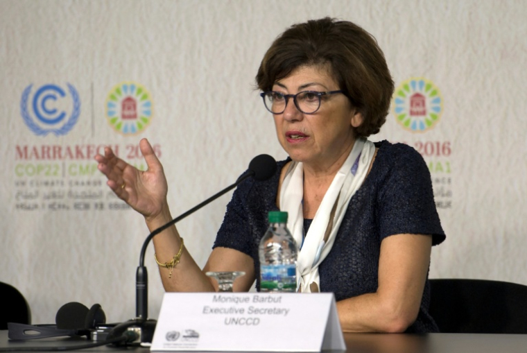 Monique Barbut, le 14 novembre 2016 à Marrakech, au Maroc ( AFP / FADEL SENNA )