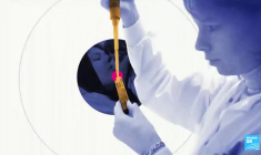 Présidentielle américaine : la guerre des sexes fait rage