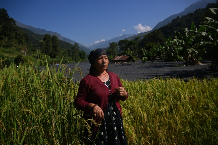 Lal Kumari Thapa Magar près de son terrain à Shanti Bazar dans le district de Gorkha, au Népal le 14 octobre 2026 ( AFP / PRAKASH MATHEMA )
