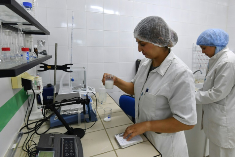 Latifa Frifita (Gauche), fondatrice de la startup "Chamelait", et sa soeur Besma, àl'Institut des régions arides (IRA) à Médenine dans le sud tunisien le 29 avril 2025 ( AFP / FETHI BELAID )