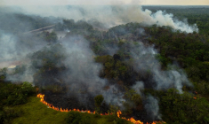 Des feux de déforestation à Manaquiri, au Brésil, le 6 septembre 2023. ( AFP / MICHAEL DANTAS )